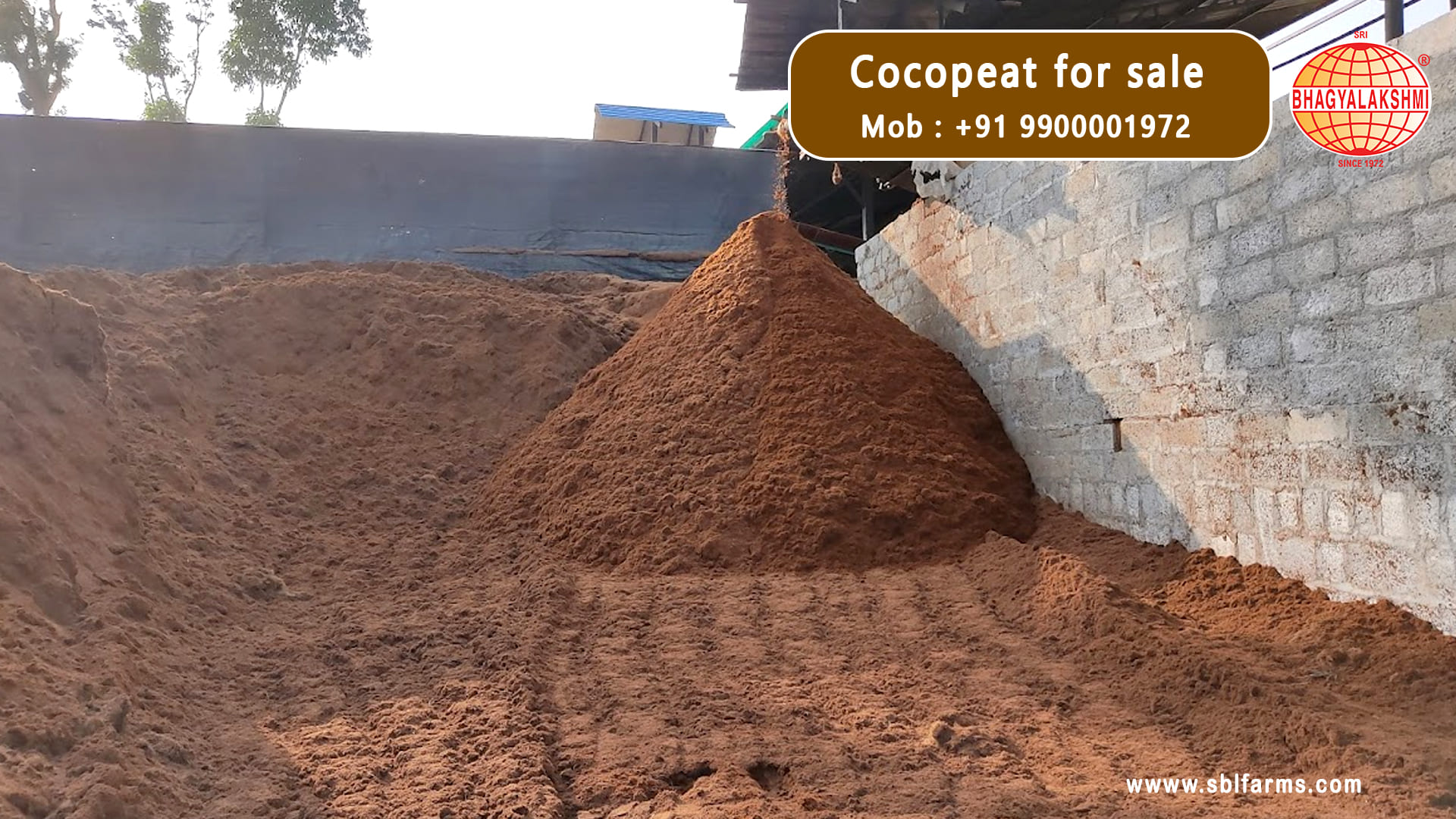 cocopeat manufacturers in Karnataka,  Coco Peat Manufacturers & Suppliers in Karnataka, cocopeat dealers, traders, wholesalers, manufacturers & suppliers  in bangalore, Coco Peat Blocks Manufacturer from Bengaluru , coco peat wholesalers in bangalore, India, Coco Peat Manufacturers near me in Bangalore, Coco Peat Wholesale Suppliers and exporters in Bengaluru , Karnataka, Coco Peat Wholesale Suppliers in bangalore, cocopeat in bangalore, cocopeat powder near chamrajpet, bengaluru, coco peat manufacturers in karnataka, Cocopeat wholesale in Bangalore,cocopeat exporters in bangalore,coco peat online bangalore. Cocopeat for sale in bangalore, cocopeat for sale in karnataka.